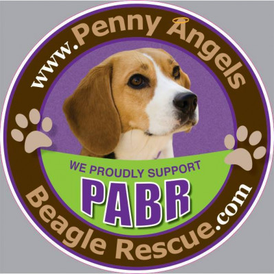 Penny Angels Beagle Rescue - Pet Shelter and Rescue in Ventnor City, New Jersey