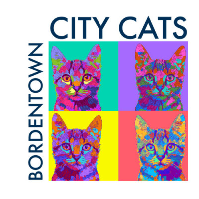 Bordentown City Cats - Pet Shelter and Rescue in Bordentown, New Jersey