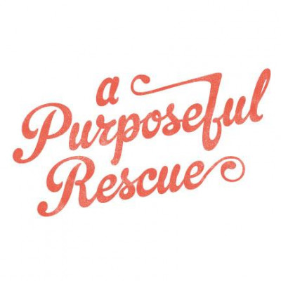 A Purposeful Rescue - Pet Shelter and Rescue in Los Angeles, California