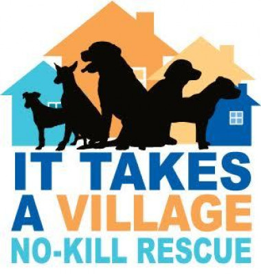 It Takes A Village No-Kill Rescue, Inc. - Pet Shelter and Rescue in Evansville, Indiana