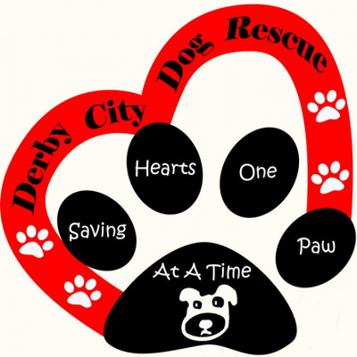 Derby City Dog Rescue - Pet Shelter and Rescue