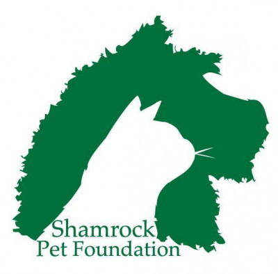 Shamrock Pet Foundation Inc. - Pet Shelter and Rescue in Louisville, Kentucky