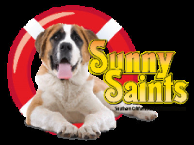 Sunny Saints, Saint Bernard Dog Rescue - Pet Shelter and Rescue in Bellflower, California