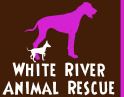 White River Animal Rescue - Pet Shelter and Rescue in Hartford, Vermont