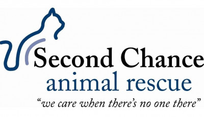 Second Chance Animal Rescue, Inc - Pet Shelter and Rescue in Littleton, New Hampshire