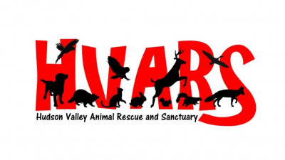 Hudson Valley Animal Rescue And Sanctuary - Pet Shelter and Rescue in Poughkeepsie, New York