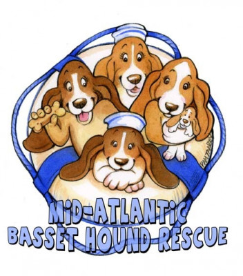 Mid-Atlantic Basset Hound Rescue - Pet Shelter and Rescue in Washington, New Jersey