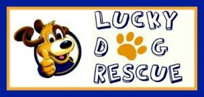 Lucky Dog Rescue - Pet Shelter and Rescue in Valparaiso, Indiana