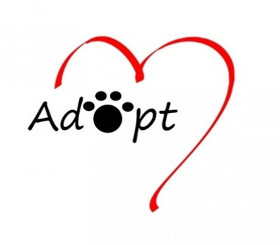 Fluffys Friends, Inc. - Pet Shelter and Rescue in Navasota, Texas