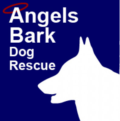 Angels Bark Dog Rescue - Pet Shelter and Rescue in Beverly Hills, California