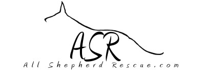All Shepherd Rescue - Pet Shelter and Rescue in Baltimore, Maryland