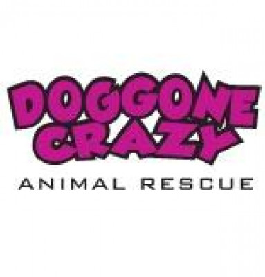 Doggone Crazy Animal Rescue, Inc. - Pet Shelter and Rescue in Atascadero, California