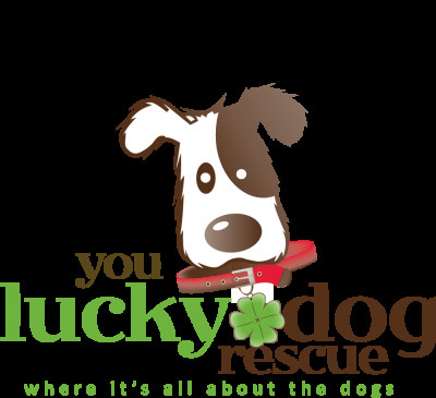 You Lucky Dog Rescue - Pet Shelter and Rescue in Alpharetta, Georgia