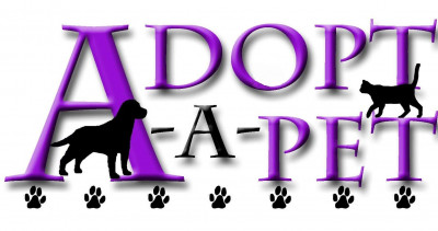 Adopt-A-Pet - Pet Shelter and Rescue in Moorhead, Minnesota
