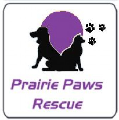 Prairie Paws Rescue - Pet Shelter and Rescue in Jamestown, North Dakota