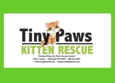 Tiny Paws Kitten Rescue - Pet Shelter and Rescue in Stillwater, Oklahoma