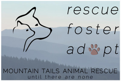 Mountain Tails Animal Rescue - Pet Shelter and Rescue in Pearisburg, Virginia