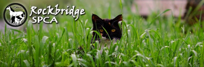 Rockbridge SPCA - Pet Shelter and Rescue in Lexington, Virginia