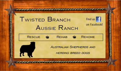 Twisted Branch Aussie Ranch - Pet Shelter and Rescue in Malakoff, Texas