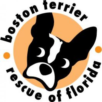 Boston Terrier Rescue Of Florida, Inc. - Pet Shelter and Rescue in Lake Mary, Florida