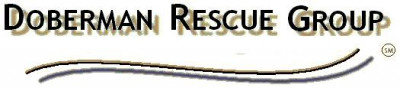 Doberman Rescue Group, Inc. - Pet Shelter and Rescue in Bixby, Oklahoma