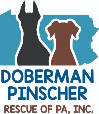 Doberman Pinscher Rescue Of PA, Inc. - Pet Shelter and Rescue in Fleetwood, Pennsylvania