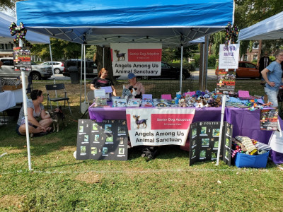 Angels Among Us Animal Sanctuary - Pet Shelter and Rescue in Quentin, Pennsylvania