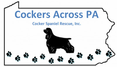 Cockers Across PA Cocker Spaniel Rescue, Inc. - Pet Shelter and Rescue in Goldsboro, Pennsylvania
