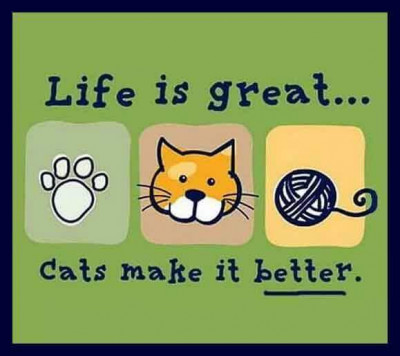 PurringPals Rescue, Inc - Pet Shelter and Rescue in Newark, Delaware