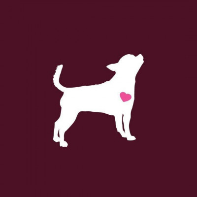 Long Way Home Animal Rescue - Pet Shelter and Rescue in College Station, Texas