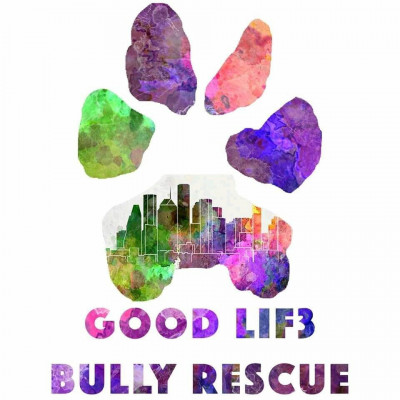 Good Lif3 Bully Rescue - Pet Shelter and Rescue in Tomball, Texas