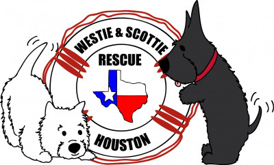 Westie And Scottie Rescue Houston - Pet Shelter and Rescue in The Woodlands, Texas
