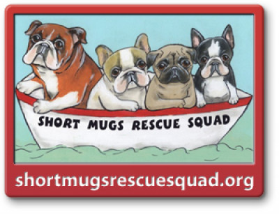 Short Mugs Rescue Squad - Pet Shelter and Rescue in Park Row, Texas
