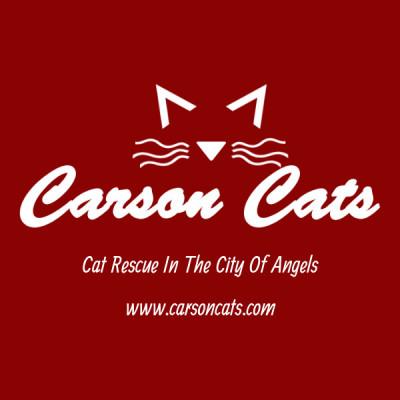 Carson Cats Rescue - Pet Shelter and Rescue in Manhattan Beach, California
