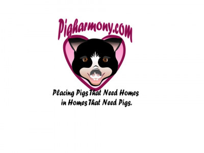 PigHarmony - Pet Shelter and Rescue in Acton, California