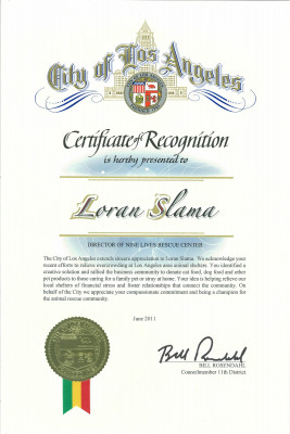 9 Lives Rescue Center - Pet Shelter and Rescue in Beverly Hills, California