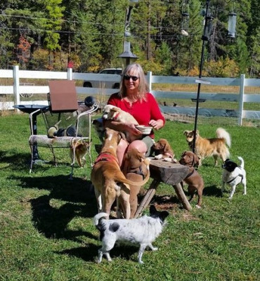 Pet Connection Rescue & Sanctuary - Pet Shelter and Rescue in Libby, Montana