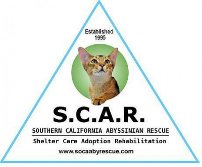 Southern California Abyssinian Rescue (SCAR) - Pet Shelter and Rescue in Whittier, California