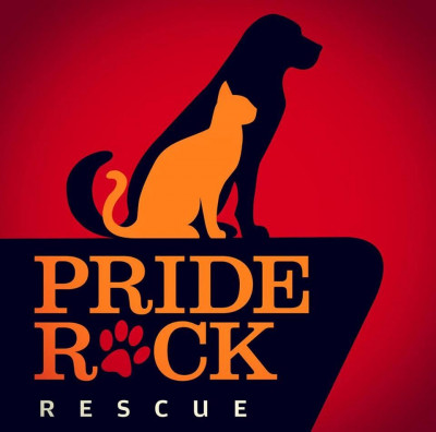 Pride Rock Rescue - Pet Shelter and Rescue in Plainfield, Connecticut