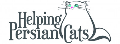 Helping Persian Cats - Pet Shelter and Rescue in Beverly Hills, California
