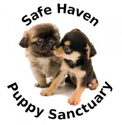 Safe Haven Puppy Sanctuary - Pet Shelter and Rescue in Cookeville, Tennessee