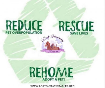 Lost Fantasy Stables And Animal Rescue Inc. - Pet Shelter and Rescue in Ceres, Virginia