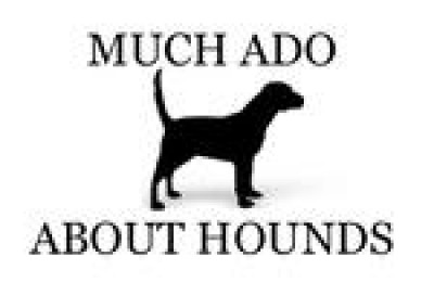 Much Ado About Hounds, Inc. - Pet Shelter and Rescue in Stone Mountain, Georgia