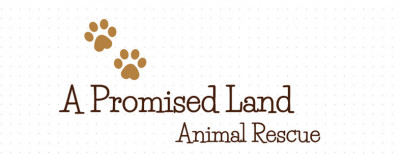 A Promised Land Animal Rescue - Pet Shelter and Rescue in Town 