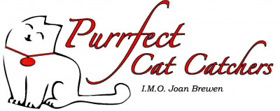 Purrfect Cat Catchers - Pet Shelter and Rescue in Matawan, New Jersey
