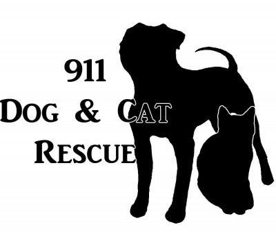 911 Dog And Cat Rescue - Pet Shelter and Rescue in Morristown, New Jersey