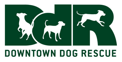 Downtown Dog Rescue - Pet Shelter and Rescue in Pasadena, California