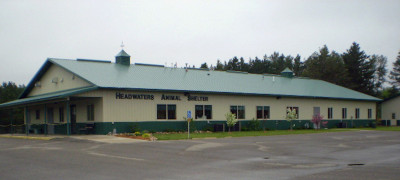 Headwaters Animal Shelter - Pet Shelter and Rescue in Park Rapids, Minnesota