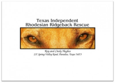 Texas Independent Rhodesian Ridgeback Rescue - Pet Shelter and Rescue in Paradise, Texas