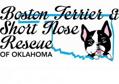 Boston Terrier And Short Nose Rescue Of Oklahoma - Pet Shelter and Rescue in Summit, Oklahoma